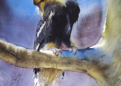 David Rankin – Honey, I’m Home