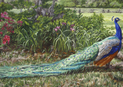 Stephen Left – A Southern Gent