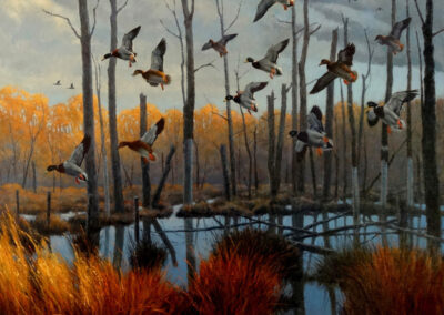 Lee Cable – Ahead of the Storm