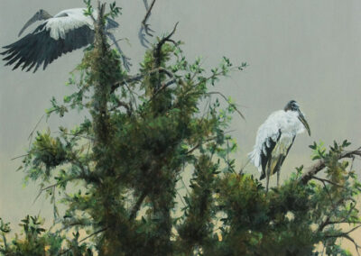 Suzie Seerey-Lester – Dawn Assembly