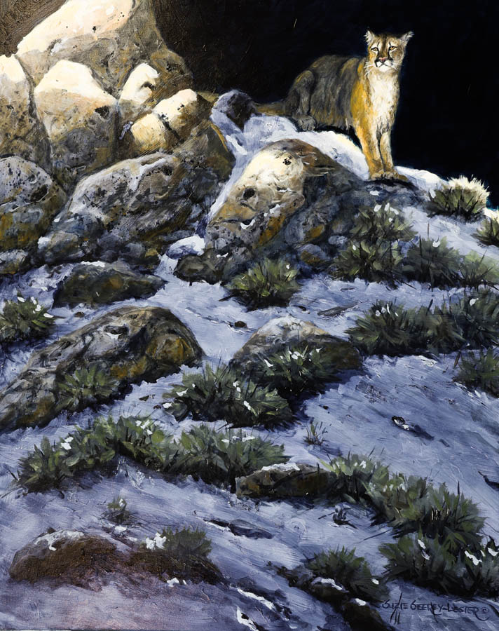 First_Light_Cougar__low_