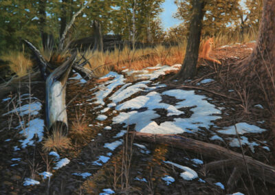 Kenneth W. Shanika – In Plain Sight – Red Fox