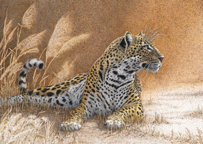 Sherry Steele – Intrigued