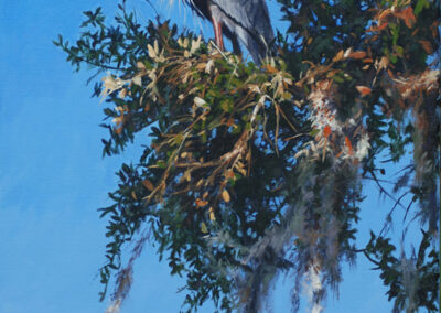 Stephen Left – Southern Blue