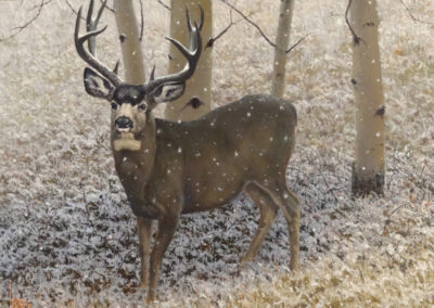 Lee Cable – The Sound Of Silence